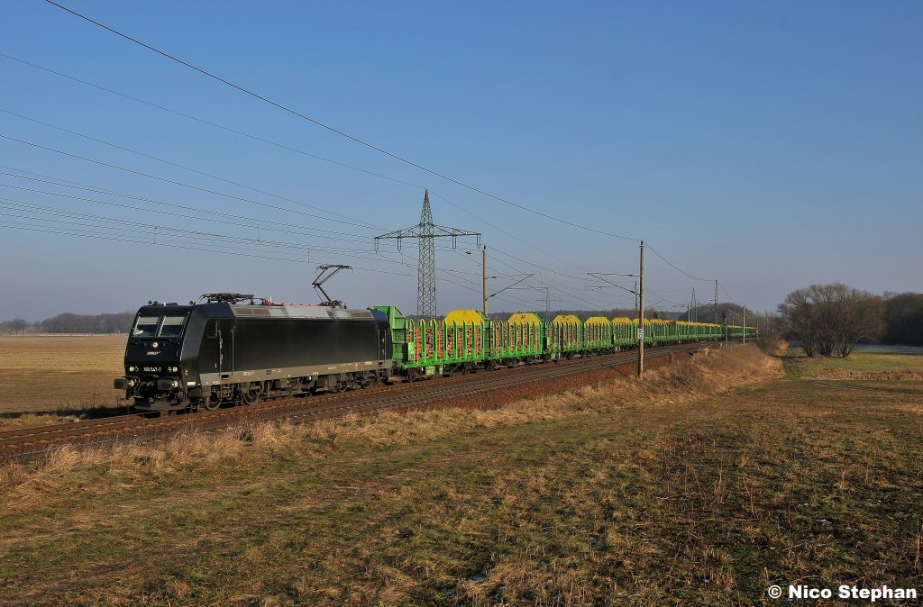 185 547-7 war mit einem komplett gr�nen Holzzug durch die fast wieder gr�nen Wiesen von Nudow unterwegs (29.01.11)