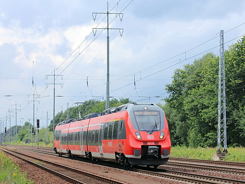442 125 und 442 625 als RB 22 (RB 28818) von Potsdam Griebnitzsee  nach Berlin Sch�nefeld Flughafen bei Diedersdorf auf dem s�dlichen Berliner Au�enring  am 11. Juli  2012.