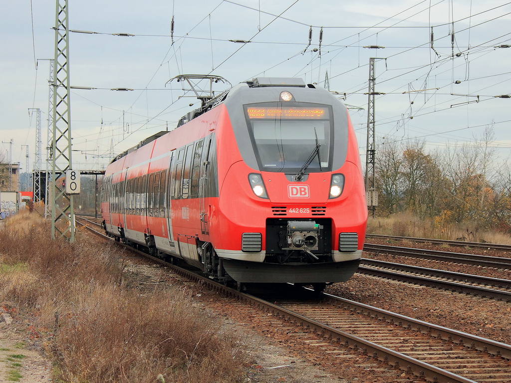 442 625 und 442 125 als RB 22 (RB 28820) von Potsdam Hauptbahnhof nach Berlin Sch�nefeld Flughafen bei der Ausfahrt aus den Bahnhof Saarmund am 10. November 2012.