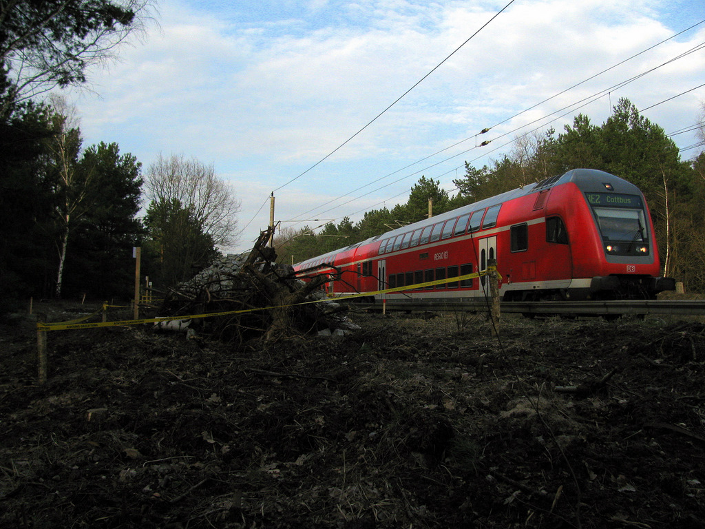 Bevor die Reise zum Dampfspektakel losging, sollte nochmal die Heimat erkundet werden: Links sch�tzt die DB Zauneidechsen und sperrt diese ab (und f�llt daf�r Wald) und rechts f�hrt der RE 2 nach Cottbus am 30.03.2010.