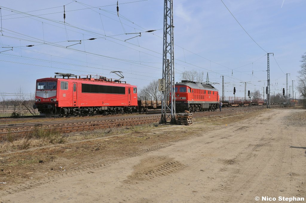 Die orientrote 155 219-9 war mit einem Leerg�terzug nach Westdeutschland unterwegs,Saarmund (23.03.11)