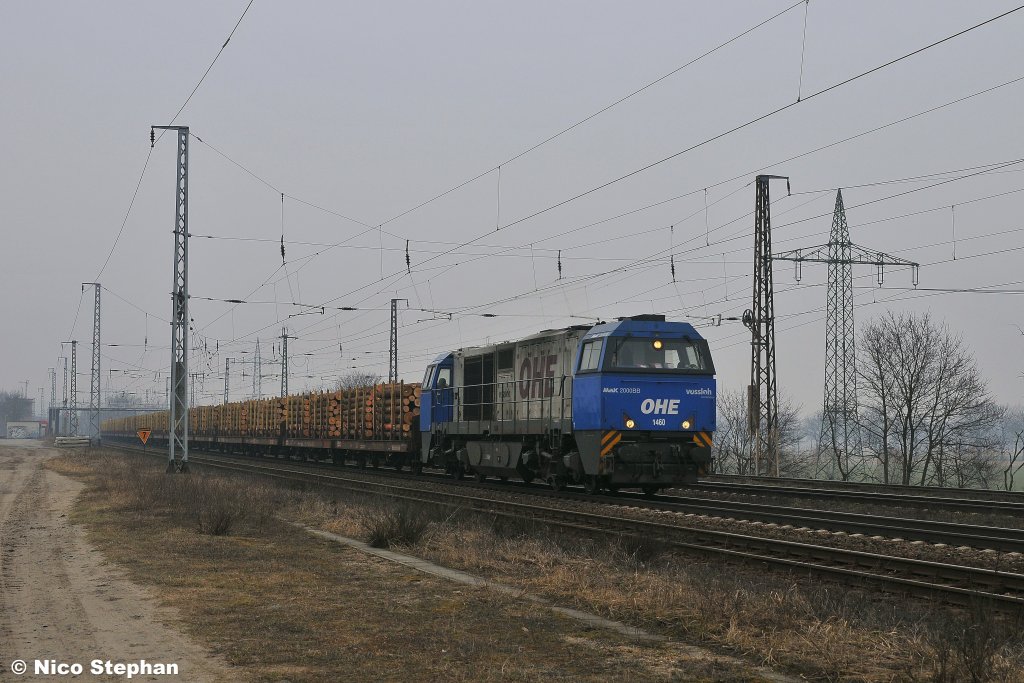 Die sch�nsten Sachen kommen immer bei schlechtem Wetter! Getreu diesem Motto kam die OHE 1460 mit ihrem Holzzug durch Saarmund gefahren (15.03.11)
