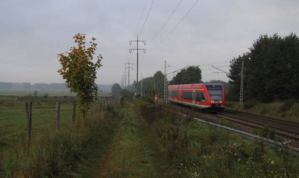 Diedersdorf: Hier mal kein Sonnenbild und eine etwas breitere Aufnahme. F�r die Freunde der Natur ist dieser Fotostandpunkt auch zu empfehlen. Allerdings Achtung: Wenn das Gras/Gestr�pp am Bahndamm zu hoch ist k�nnte einiges im Zug landen und das Eisenbahnmotiv verdecken. Verkehr: Diedersdorf liegt am s�dlichen Berliner Au�enring und wird daher eher von G�terz�gen bedient. Eine st�ndlich verkehrende RB22 (BR 646), der RE3 nach W�nsdorf-Walststadt bzw. Elsterwerda (BR112/114) und die Fernverkehrsz�ge zwischen Berlin und Dresden schm�cken diese Stelle. Freitag und Sonntag verkehren meistens auch noch Verst�rker IC's �ber die Strecke, welche von Rummelsburg nach S�dkreuz leer �berf�hrt werden.  