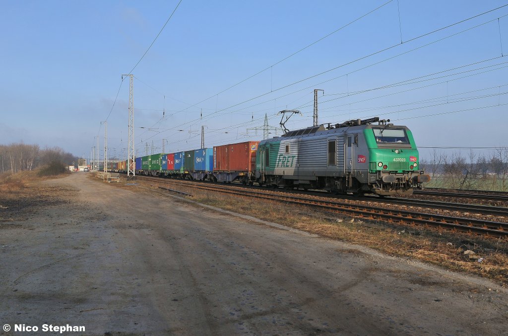 Erster Zug gleich mit einem Fretchen. 437 023 war mit einem Containerzug nach Osten unterwegs,Saarmund (23.03.11)