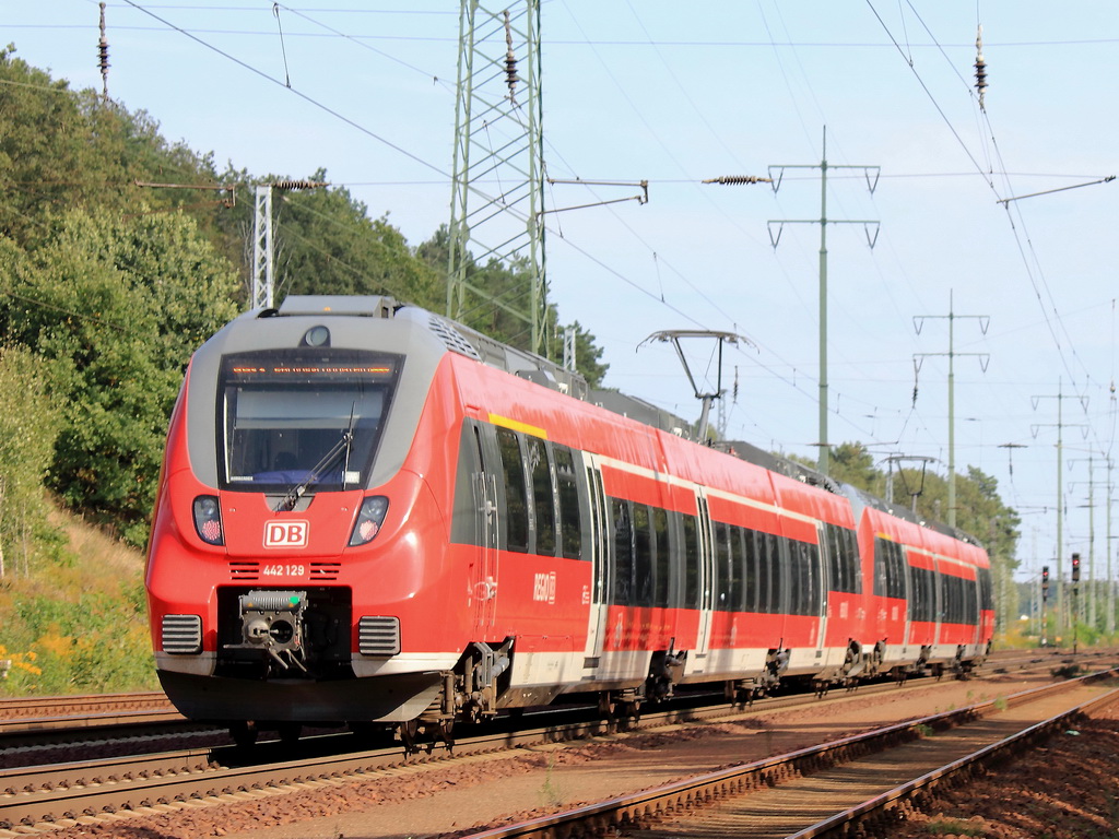 Nachschuss auf 442 622 und 442 129 als RB 22 (RB 28820) von Potsdam Hauptbahnhof nach Berlin Sch�nefeld Flughafen bei Diedersdorf auf dem s�dlichen Berliner Au�enring am 16. September 2012. 