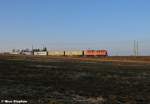 140 432-6 rollt mit einem Containerzug durch die Wiesen von Nudow (29.01.11) 