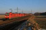 185 151-8 & 185 015-5 kommen mit dem leeren Erzzug aus Ziltendorf angedonnert,hier in der Abendsonne bei Nudow (29.01.11)