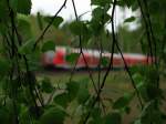 Mal ein Experiment zum M�nnertag mit Lindenbl�ttern.